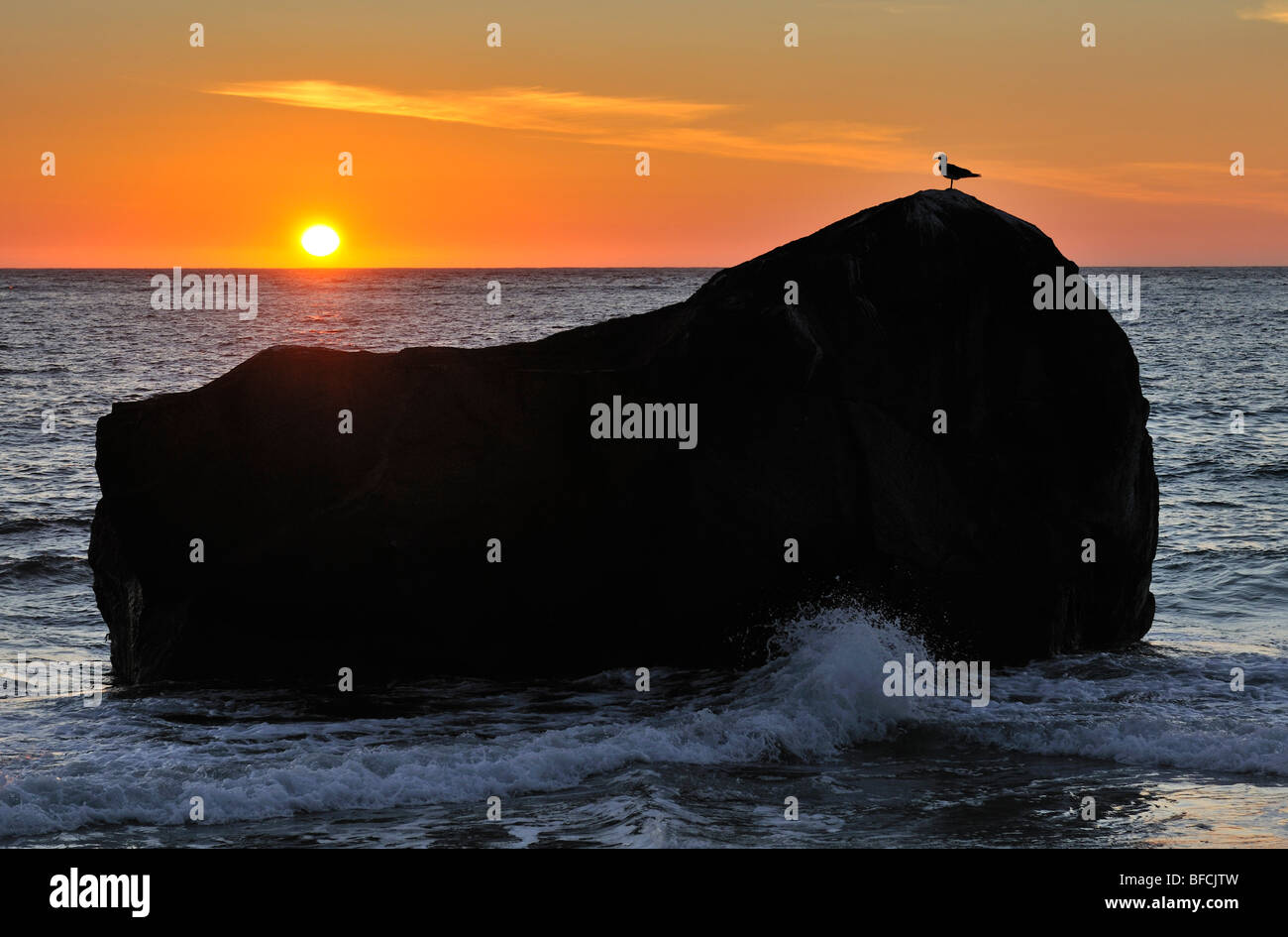 Silhouette di un Gabbiano seduta su un masso. Il sole di mezzanotte. Foto Stock