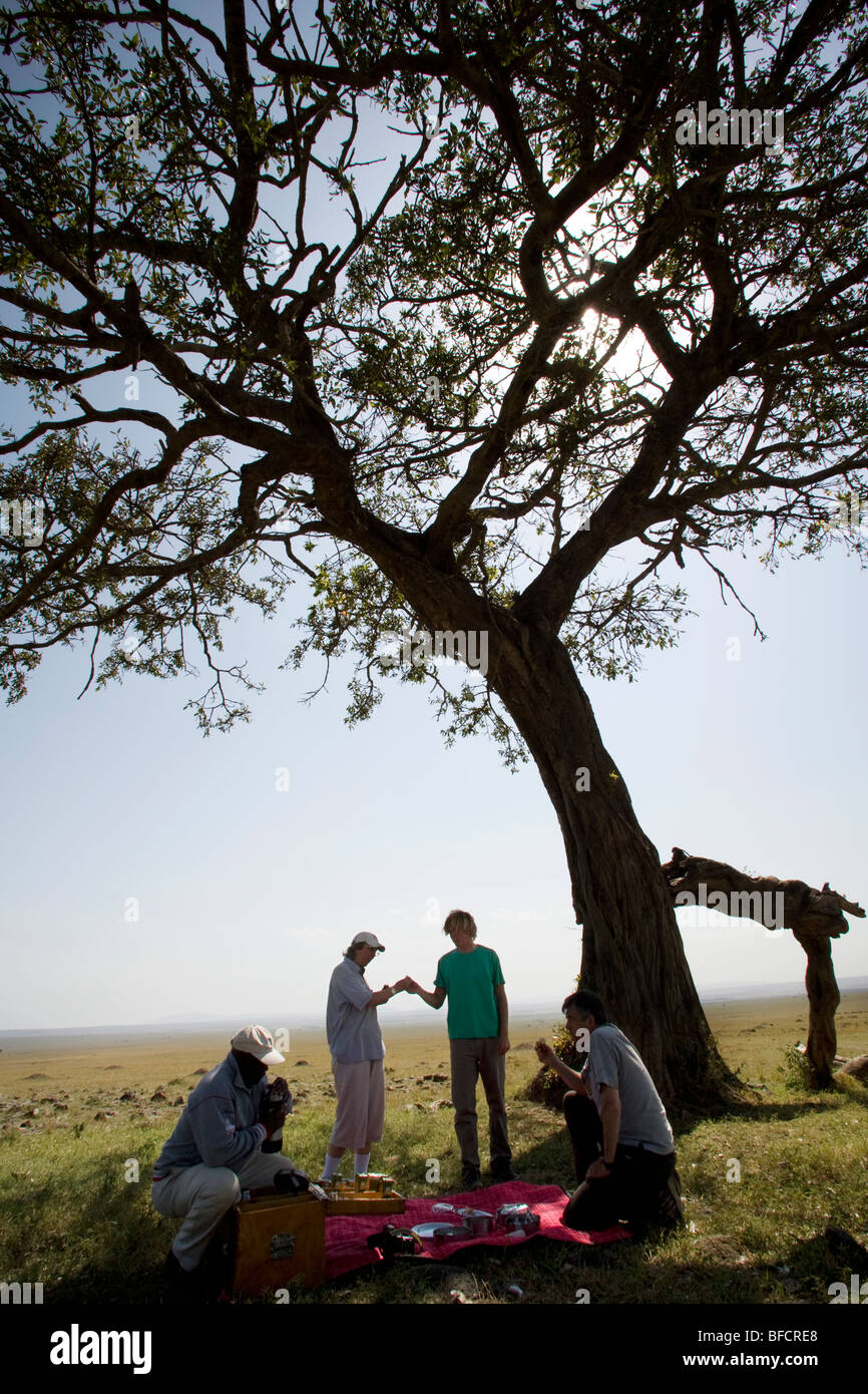 I turisti in Safari con picnic - Masai Mara riserva nazionale, Kenya Foto Stock