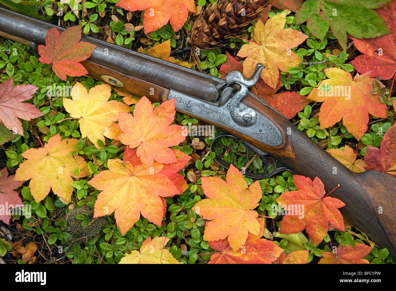 Muso di antiquariato del caricatore fucile flintlock shotgun in foglie di autunno Foto Stock