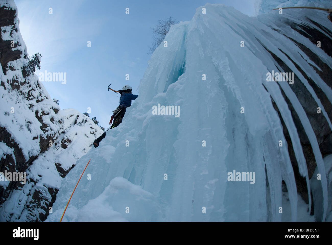 Vista dal basso di una femmina professionale scalatore arrampicata su ghiaccio una cascata ghiacciata in Colorado. Foto Stock