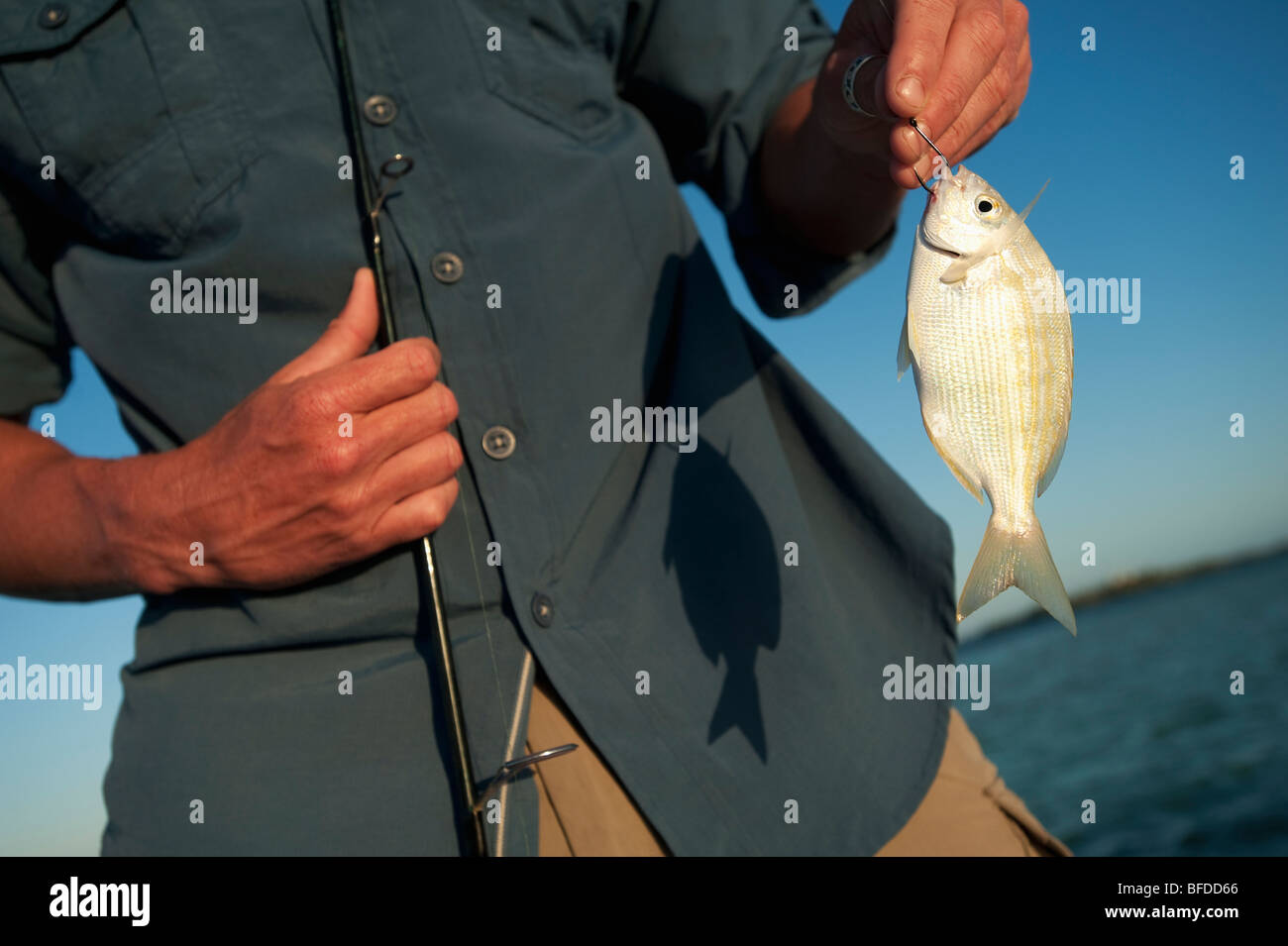 Un uomo visualizza il suo piccolo fermo mentre la pesca in Florida. Foto Stock