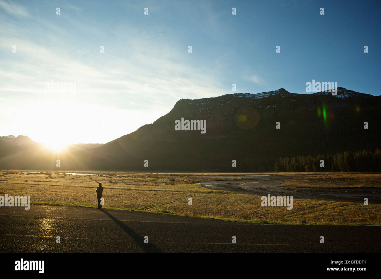 Una donna che beve caffè e orologi il sunrise dalla strada accanto ad un campo nel Parco Nazionale di Yellowstone. Foto Stock