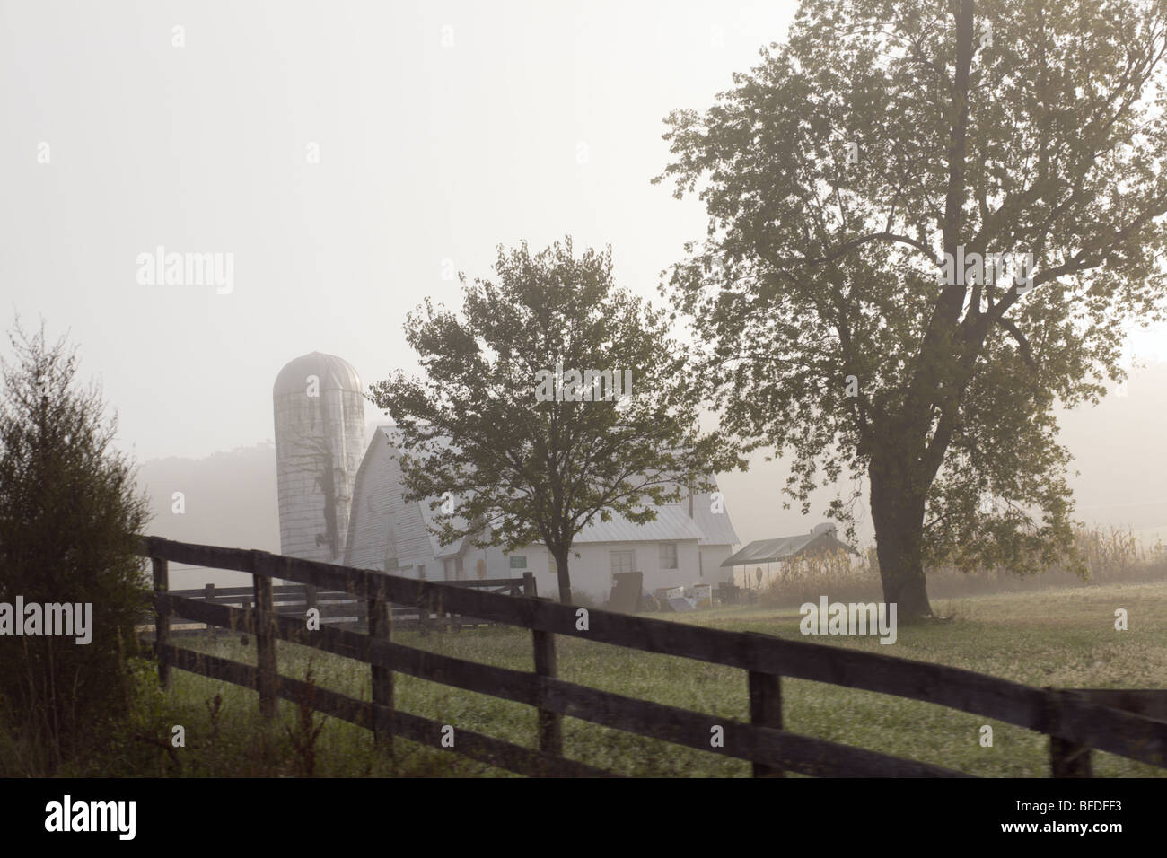 Una fattoria e silos in la nebbia di mattina. Foto Stock