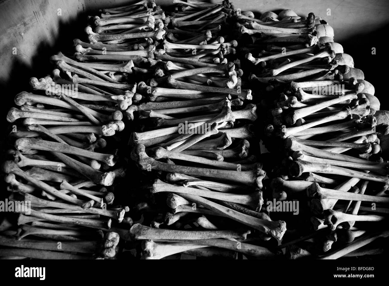 Le ossa della gamba sul display a Murambi memoriale del genocidio in Ruanda. Foto Stock