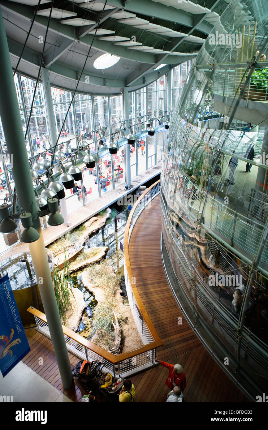 Elevato angolo di visione di 90 piedi di diametro cupola di vetro che ospita la foresta pluviale presentano presso l'Accademia delle Scienze della California, Sa Foto Stock