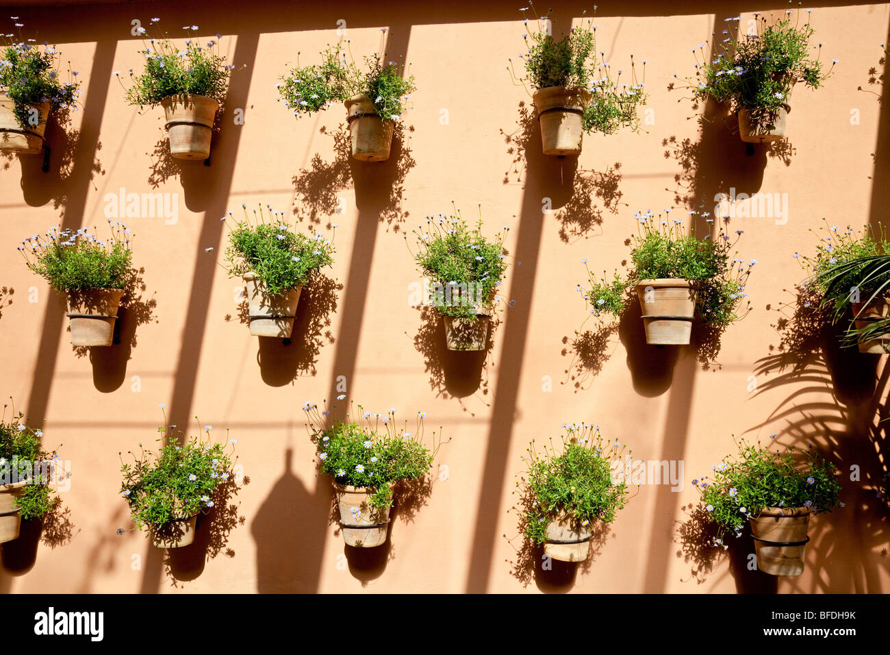 Giardino Majorelle con piante di Pot sulla parete in 'Café la Trattoria', Gueliz, Marrakech, Marocco Foto Stock