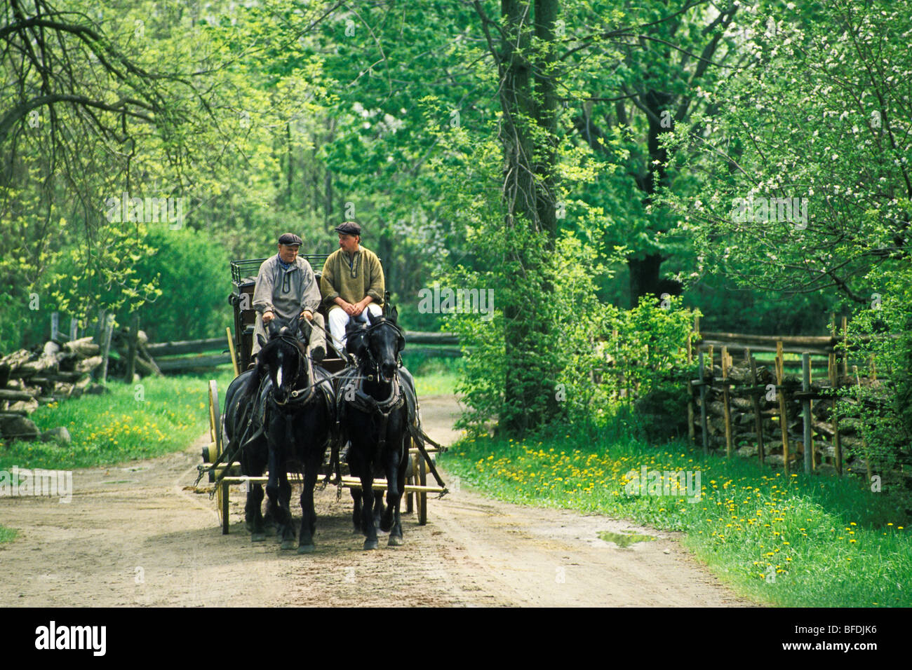 Due cavallo stagecoach, Upper Canada Village, Morrisburg, Ontario, Canada. Foto Stock