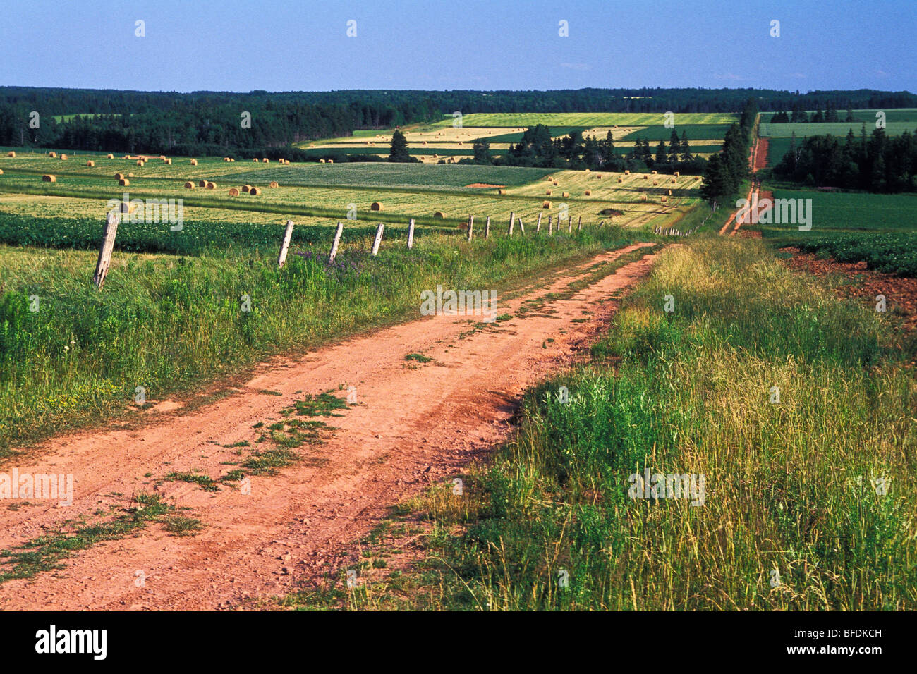 Rurale, strada sterrata in campagna, Kinkora, Prince Edward Island, Canada Foto Stock
