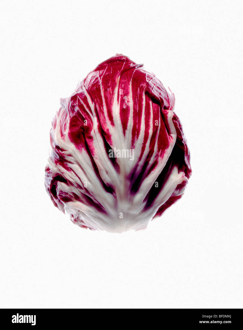 radicchio Foto Stock