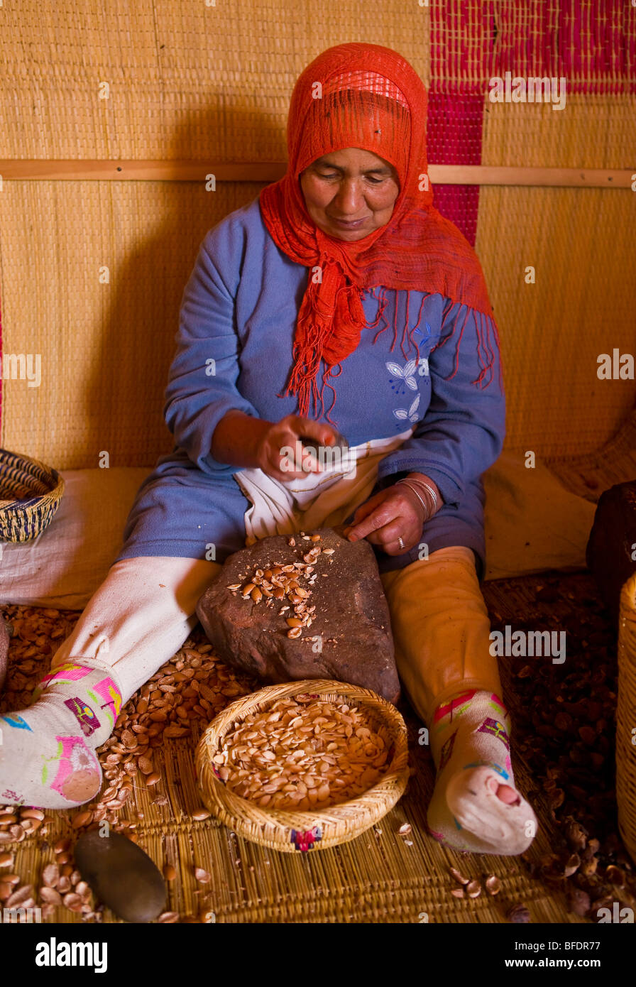 Marocco - donne Berbere dell'olio di argan workshop cooperativa in montagne Atlas. Foto Stock