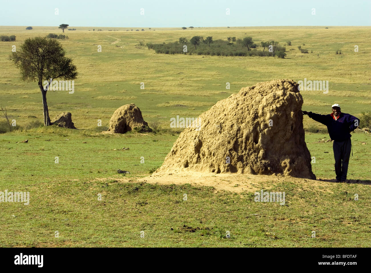 Uomo in piedi da grandi termite mound - Masai Mara riserva nazionale, Kenya Foto Stock
