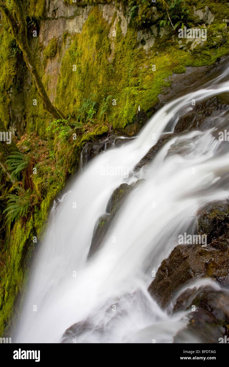 Una cascata di montagna a Goldstream Provincial Park in Victoria, Isola di Vancouver, British Columbia, Canada Foto Stock