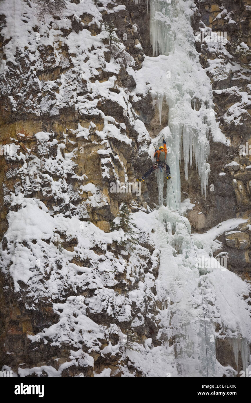 Un alpinista spostando su WD40 WI 4, Evan Thomas Creek, Kananaskis, Alberta, Canada Foto Stock