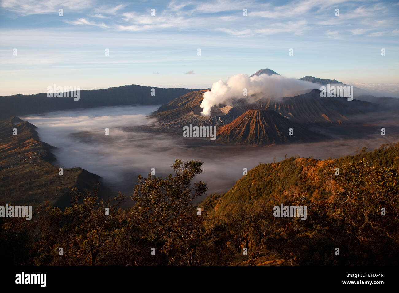 Monte Bromo e altri vulcani visto dal Monte Penanjakan, isola di Giava, in Indonesia Foto Stock