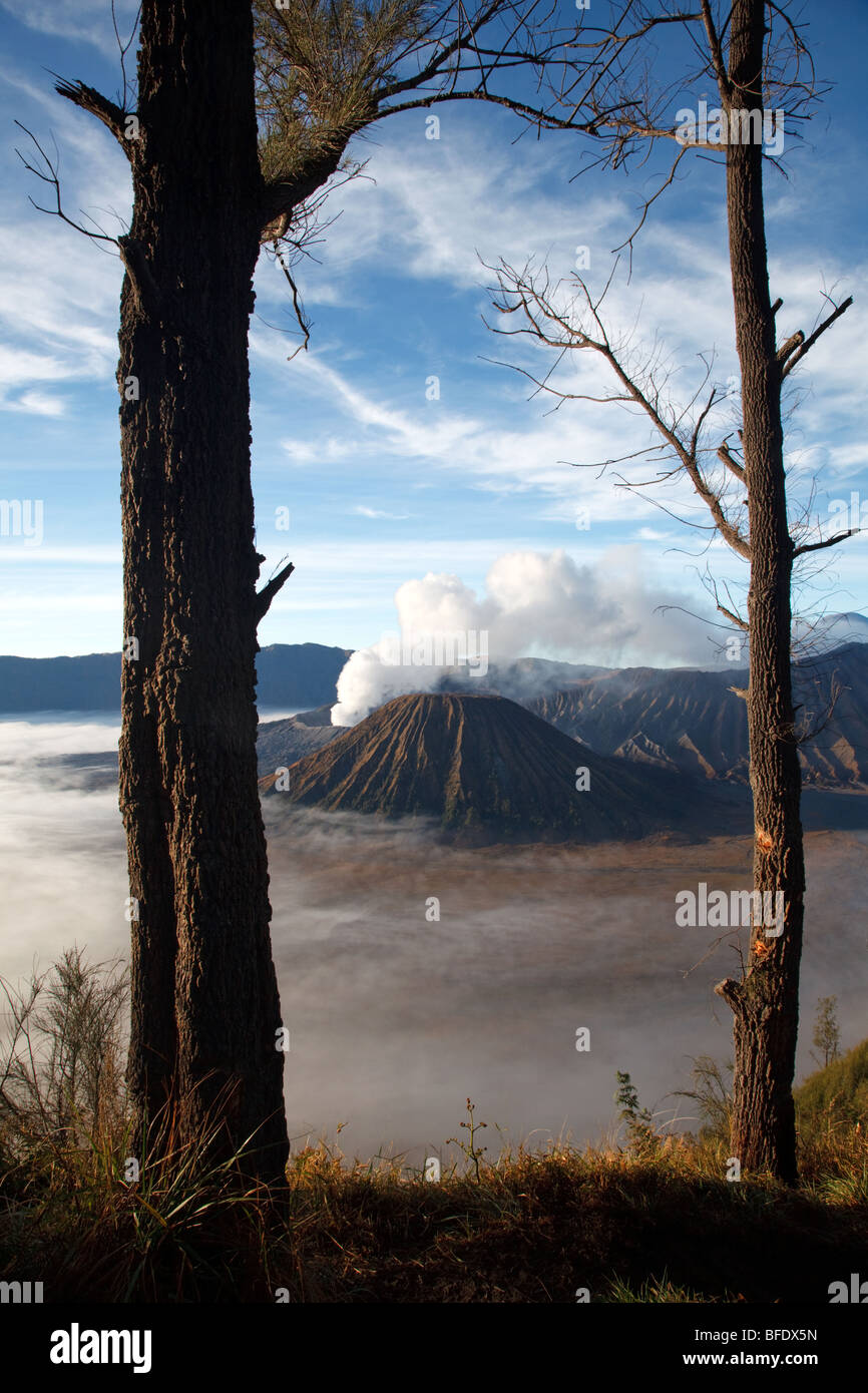 Monte Bromo e altri vulcani visto dal Monte Penanjakan, isola di Giava, in Indonesia Foto Stock