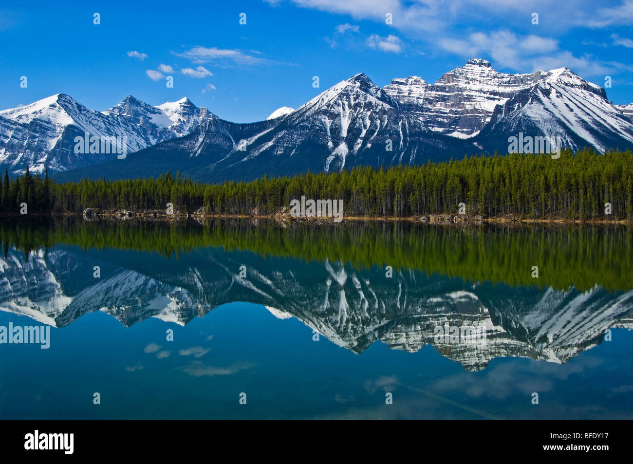 La riflessione di montagna a Herbert Lake, il Parco Nazionale di Banff, Alberta, Canada Foto Stock