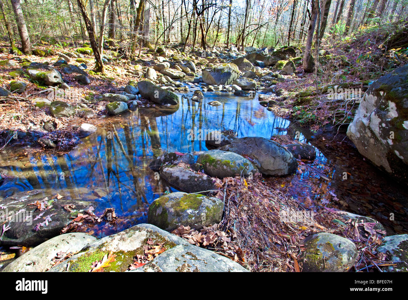 Sidearm orrendo di Little Pigeon River, Great Smoky Mountains National Park, Tennessee Foto Stock