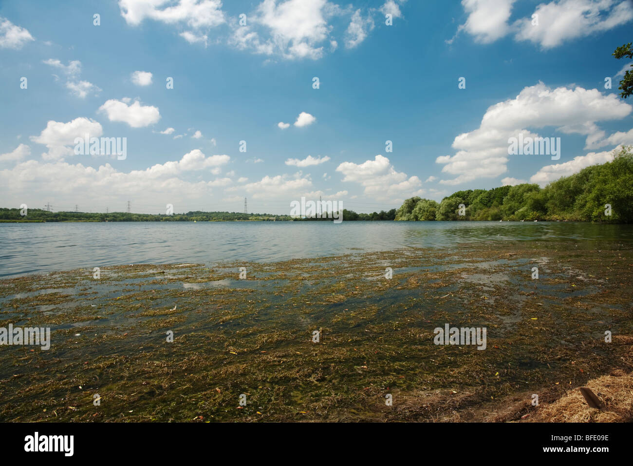 Theale Laguna, una grande fossa di ghiaia nel Kennet Valley in Theale nei pressi di Reading, Berkshire, Regno Unito Foto Stock