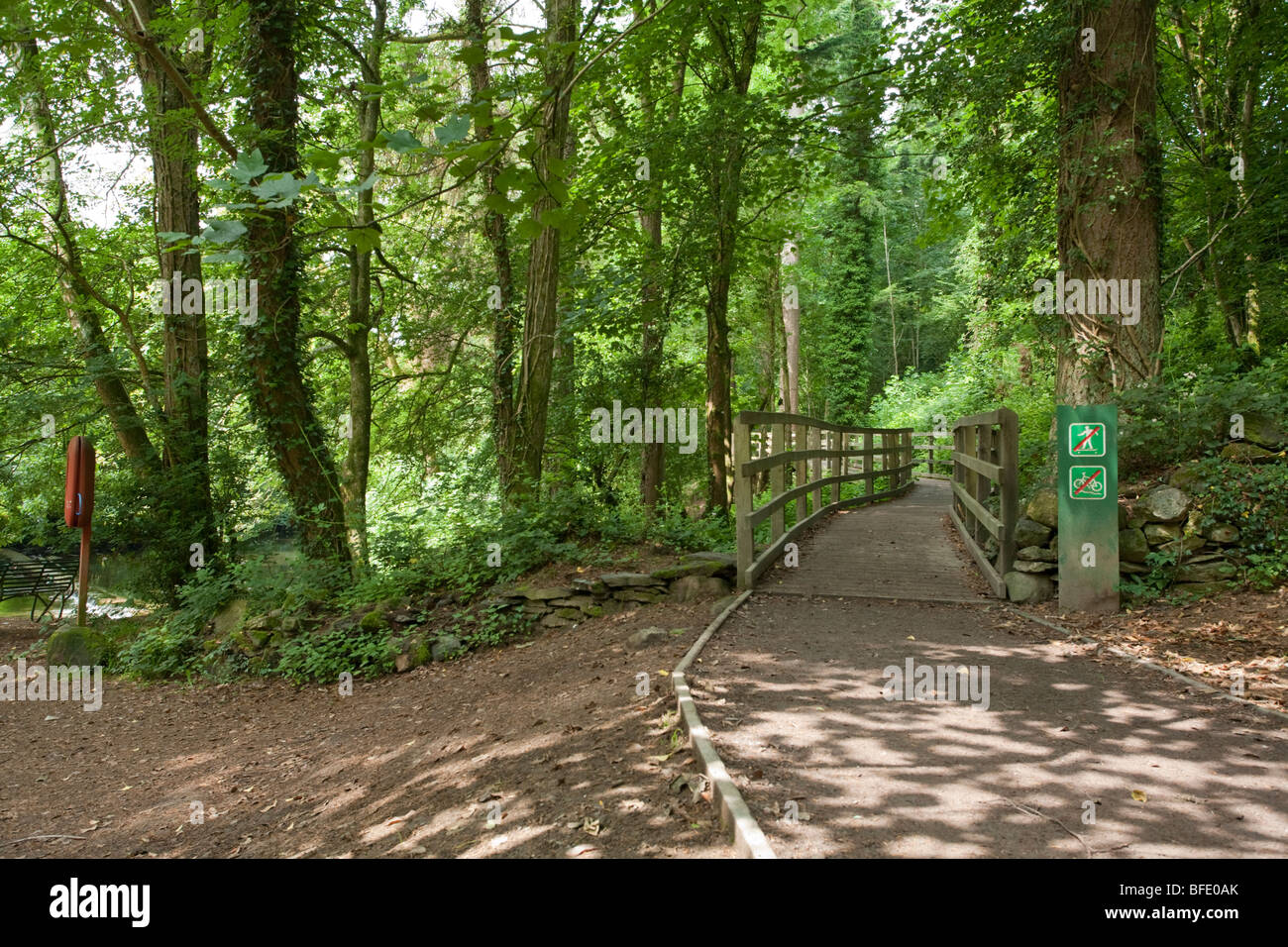 Il sentiero lungo il Afon Llugwy vicino a Betws-y-Coed, Snowdonia, Galles del Nord, Regno Unito Foto Stock