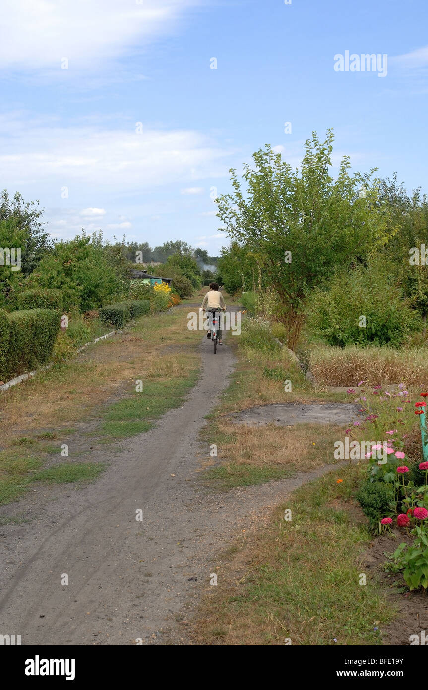 Uno di una serie di foto che ritrae una donna più anziana in bicicletta giù per un sentiero sterrato attraverso una sezione di singoli giardini. Foto Stock