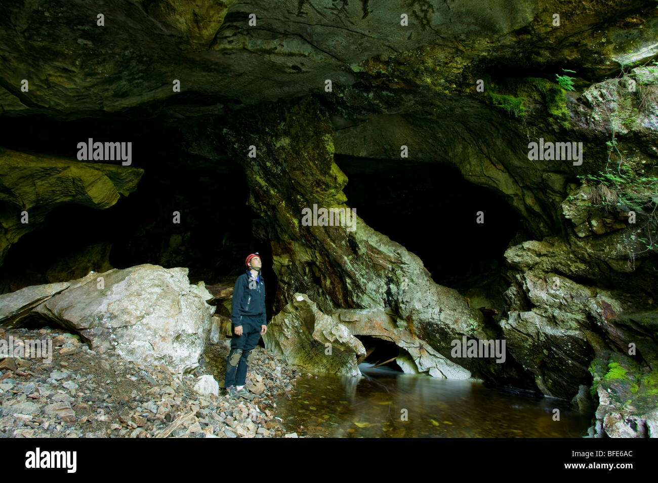 Upana sistema di caverne vicino Gold River, Isola di Vancouver, British Columbia, Canada Foto Stock