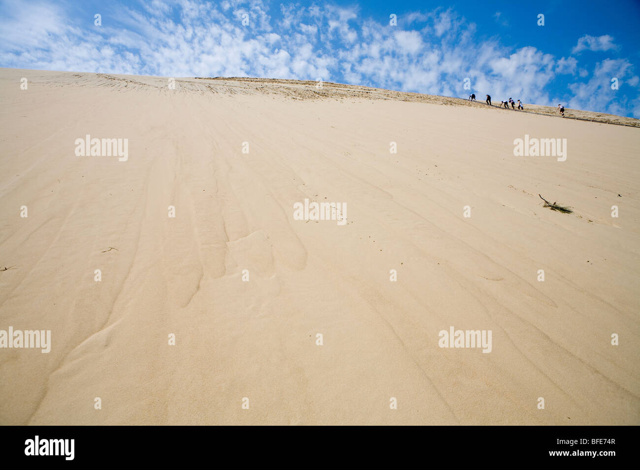 Salendo sulle Dune du Pilat, più alto d'Europa le dune di sabbia Foto Stock