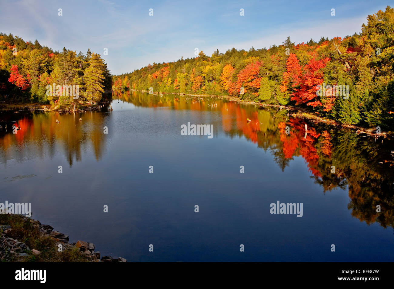 Riflessi di acqua nel lago di Algonquin Park in autunno, Ontario, Canada Foto Stock