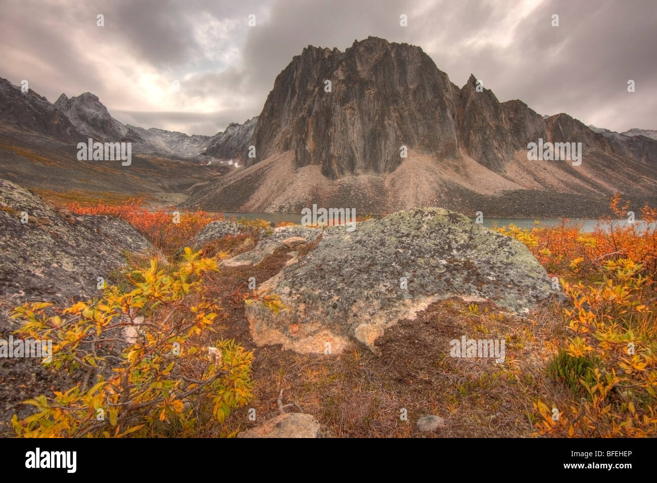 Astragalo Lago, Lapide parco territoriale, Yukon, Canada Foto Stock