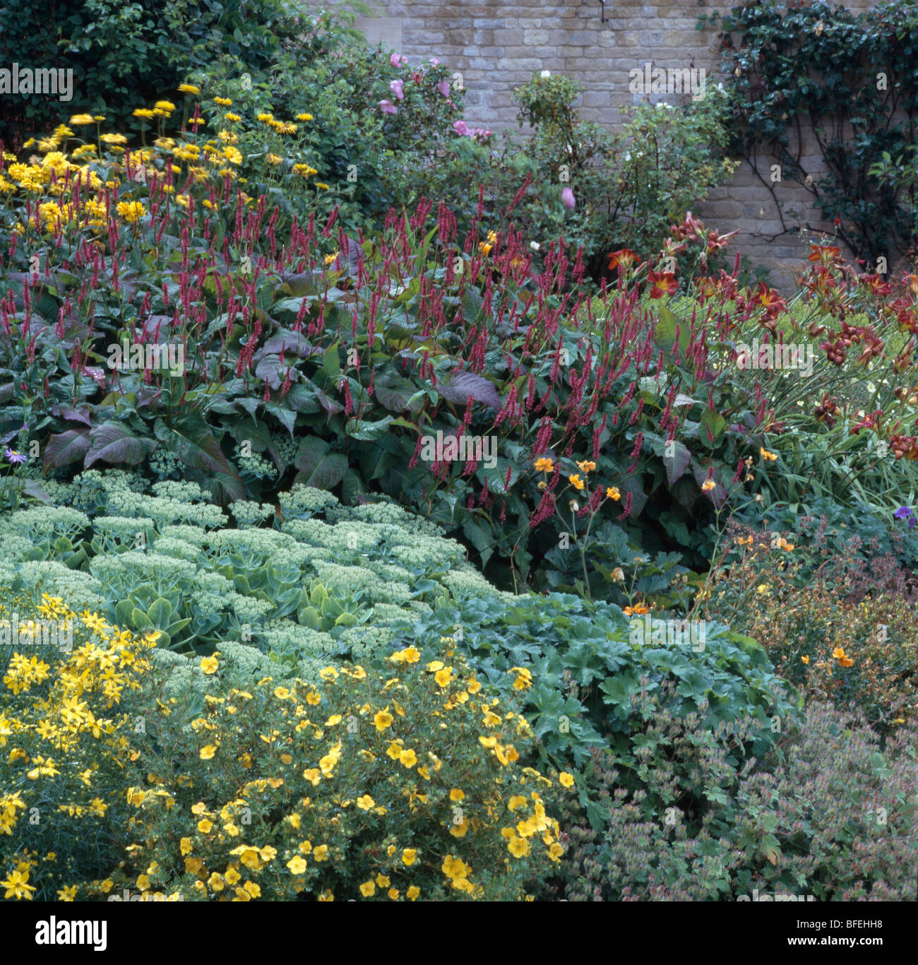 Colorato piante perenni che crescono in estate-fioritura frontiere nel grande paese walled garden Foto Stock