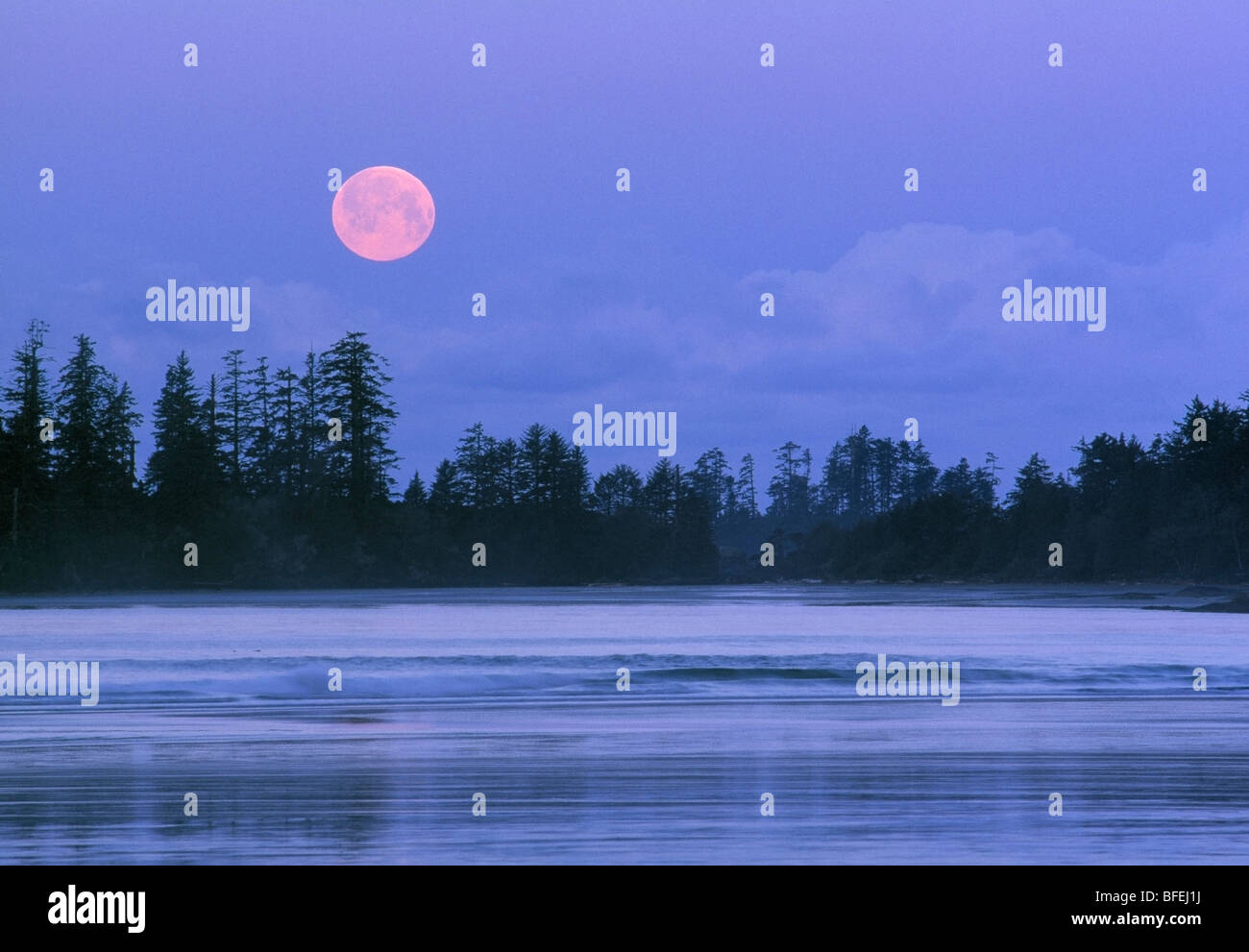 Impostazione di luna su Schooner Cove, Pacific Rim National Park, l'isola di Vancouver, British Columbia, Canada Foto Stock