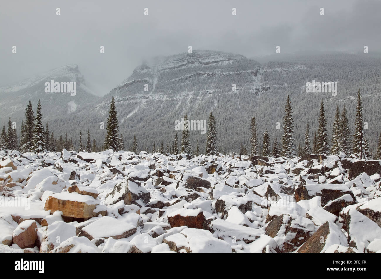 Winston Churchill gamma e rock slitta in inverno lungo la Icefields Parkway, Jasper National Park, Alberta, Canada Foto Stock