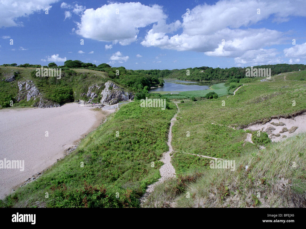 Il sentiero per bosherston stagni di fior di loto da ampia oasi beach Pembrokeshire Coast Galles Foto Stock