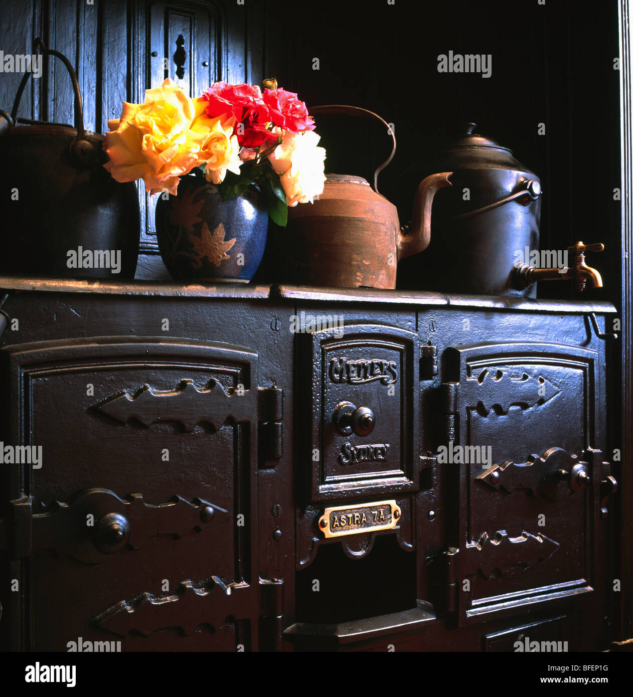 Close-up di vecchi bollitori e vaso di fiori sul nero in stile vittoriano di ghisa stufa Foto Stock