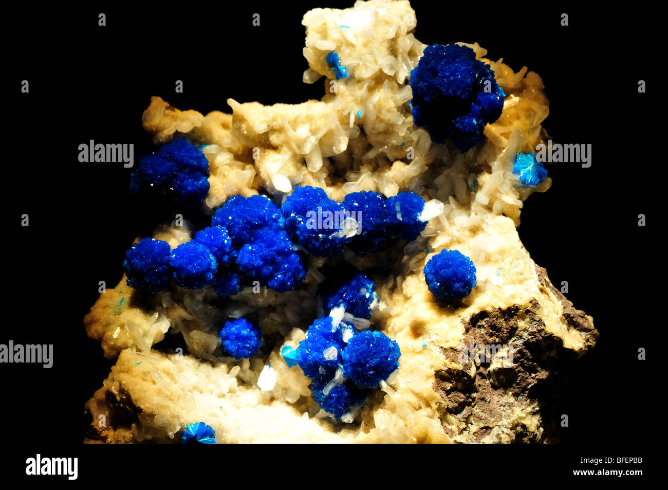 Cristalli blu di Cavansite, un calcio silicato di vanadio. Foto Stock