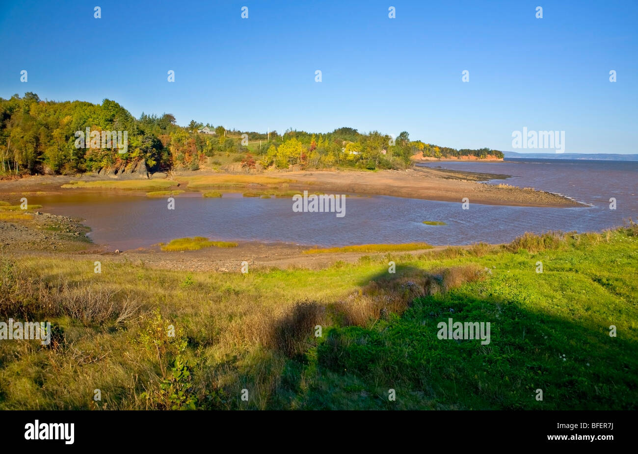 Baia di Fundy, Shore vicino Tennycape, Nova Scotia, Canada Foto Stock