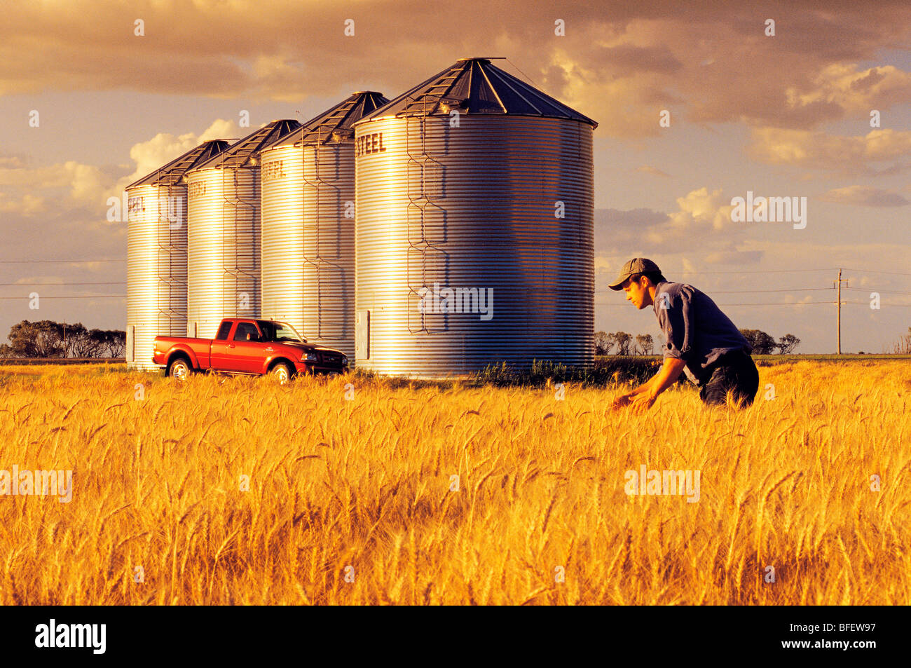 Un agricoltore controlla la sua coppia di grano di inverno il raccolto di grano deposito bidoni in background vicino a Carey, Manitoba, Canada Foto Stock