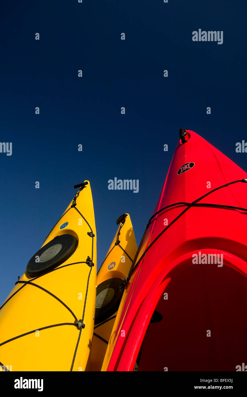 Kayaks coloratissimo stand presso il pronto contro un ricco blu cielo. Courtenay, Comox Valley, l'isola di Vancouver, British Columbia, Canada. Foto Stock
