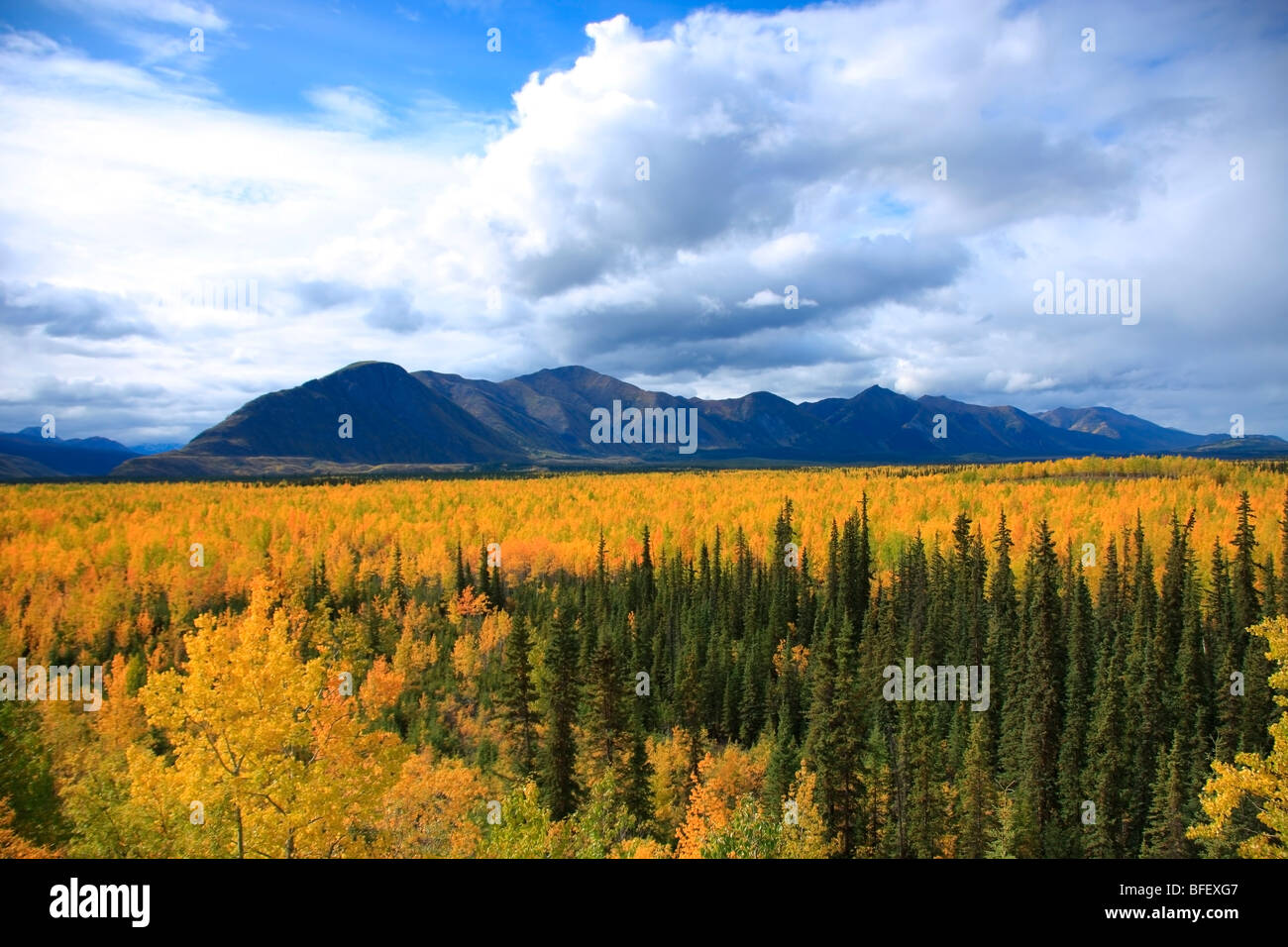 Vista guardando a sud a sud Canol Road durante l'autunno, Yukon. Foto Stock