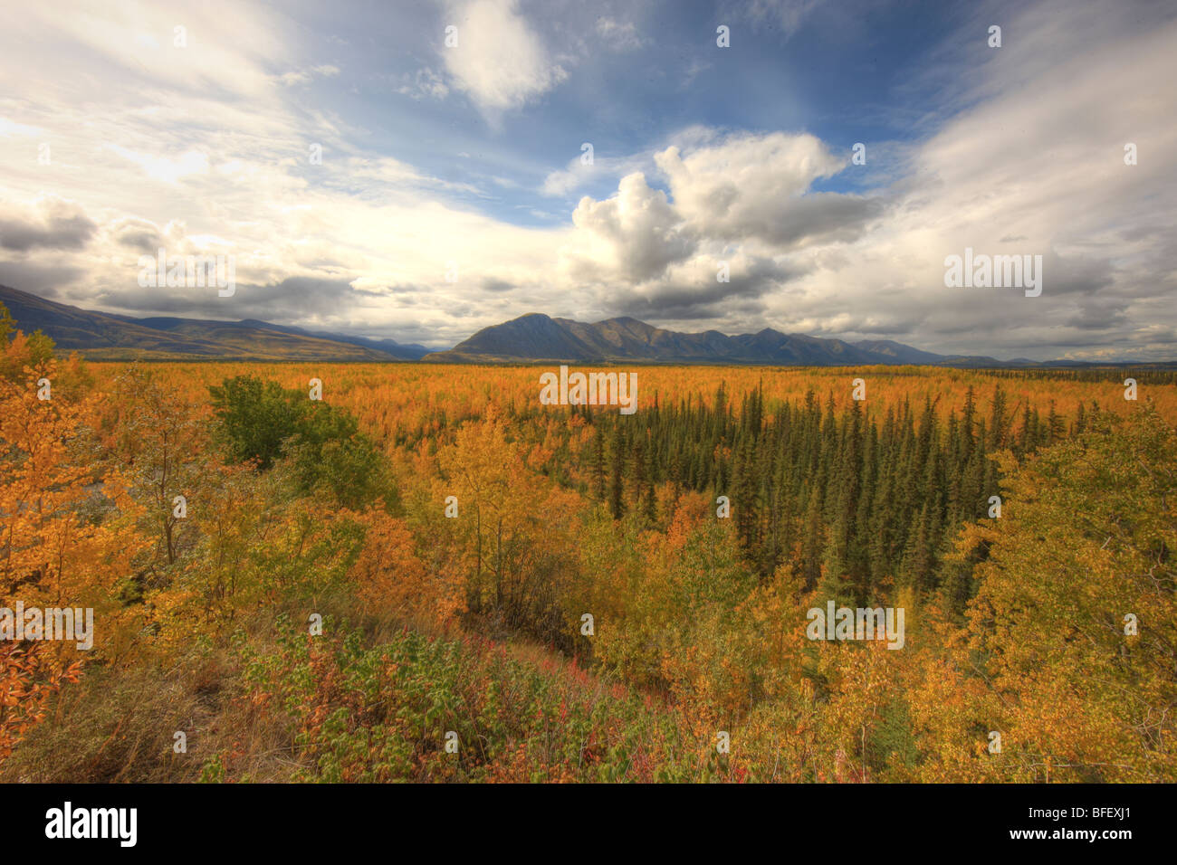 Vista guardando a sud a sud Canol Road durante l'autunno, Yukon. Foto Stock