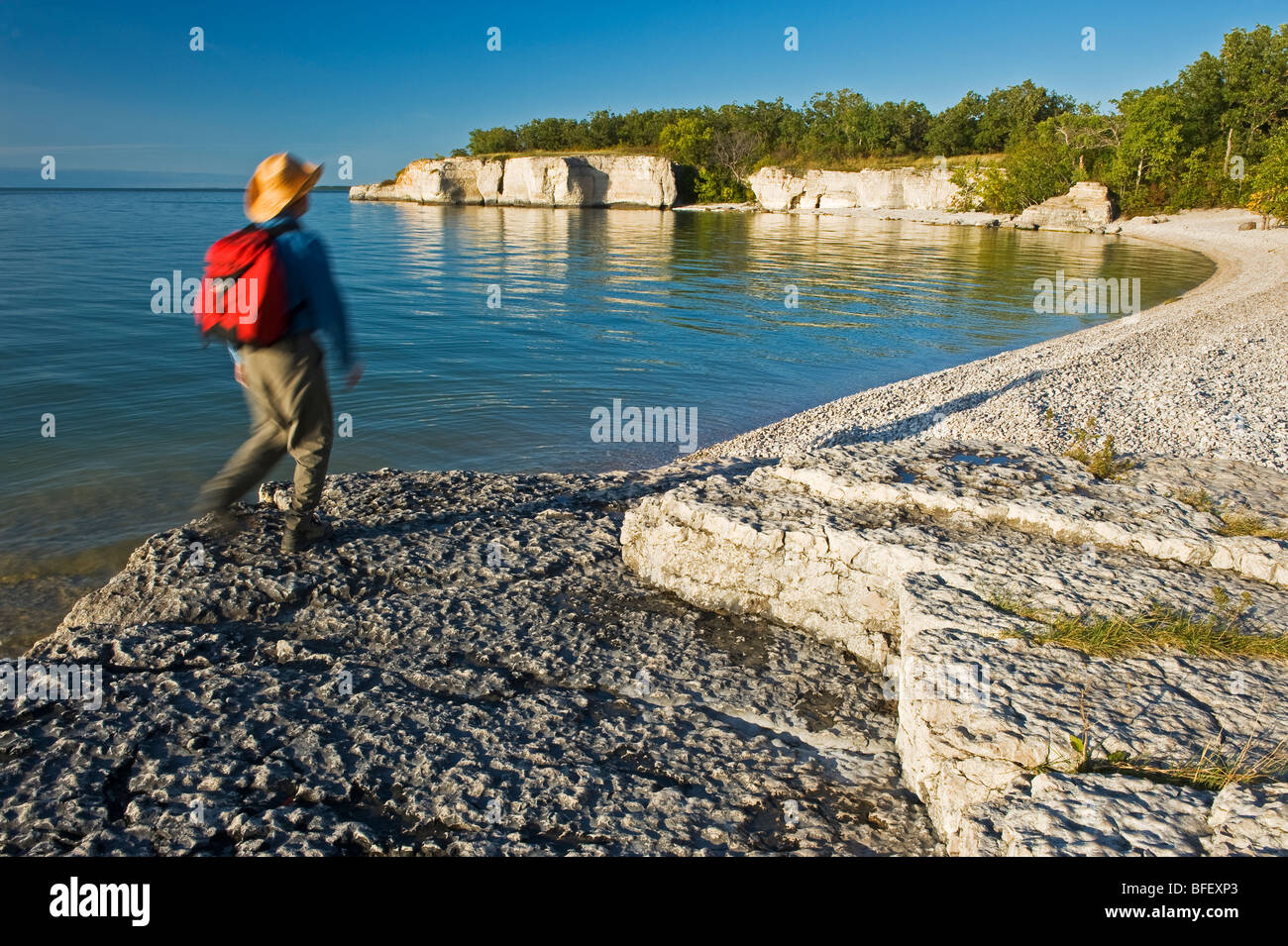 Scogliere calcaree, ripida roccia, lungo il lago di Manitoba, Manitoba, Canada Foto Stock