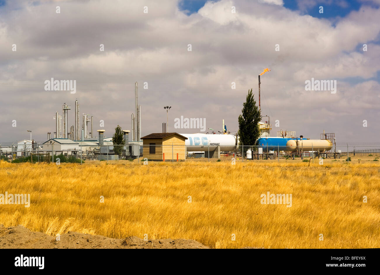 Impianto del gas nei pressi di Brooks, Alberta, Canada, industria petrolifera, energia Foto Stock