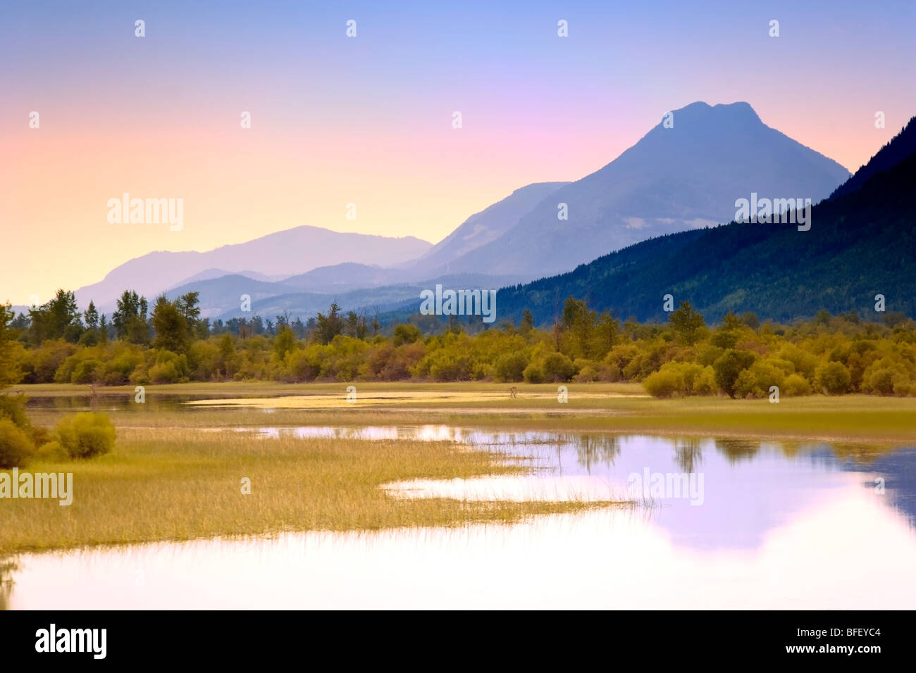 Mountain riflessa nel lago, Harrogan, British Columbia, Canada Foto Stock