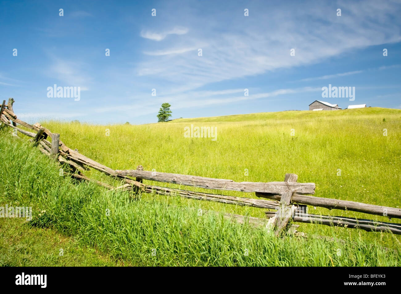 Struttura di cancellata, la scarpata del Niagara vicino a terra Noiva, Ontario, Canada Foto Stock