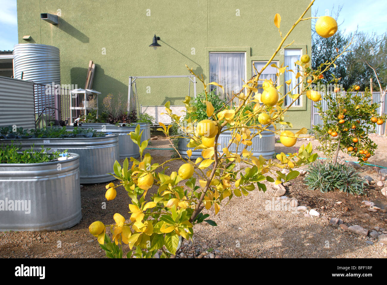 Civano comunità Scuola di Tucson, Arizona, USA, ha vinto il primo premio in un concorso nazionale come la scuola più verde in America. Foto Stock