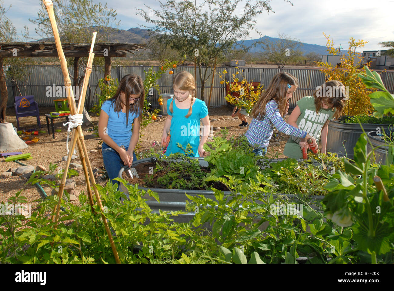 Civano comunità Scuola di Tucson, Arizona, USA, ha vinto il primo premio in un concorso nazionale come la scuola più verde in America. Foto Stock