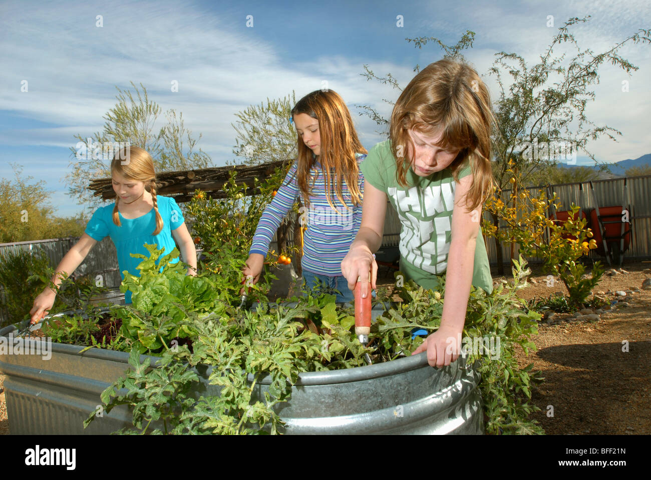 Civano comunità Scuola di Tucson, Arizona, USA, ha vinto il primo premio in un concorso nazionale come la scuola più verde in America. Foto Stock
