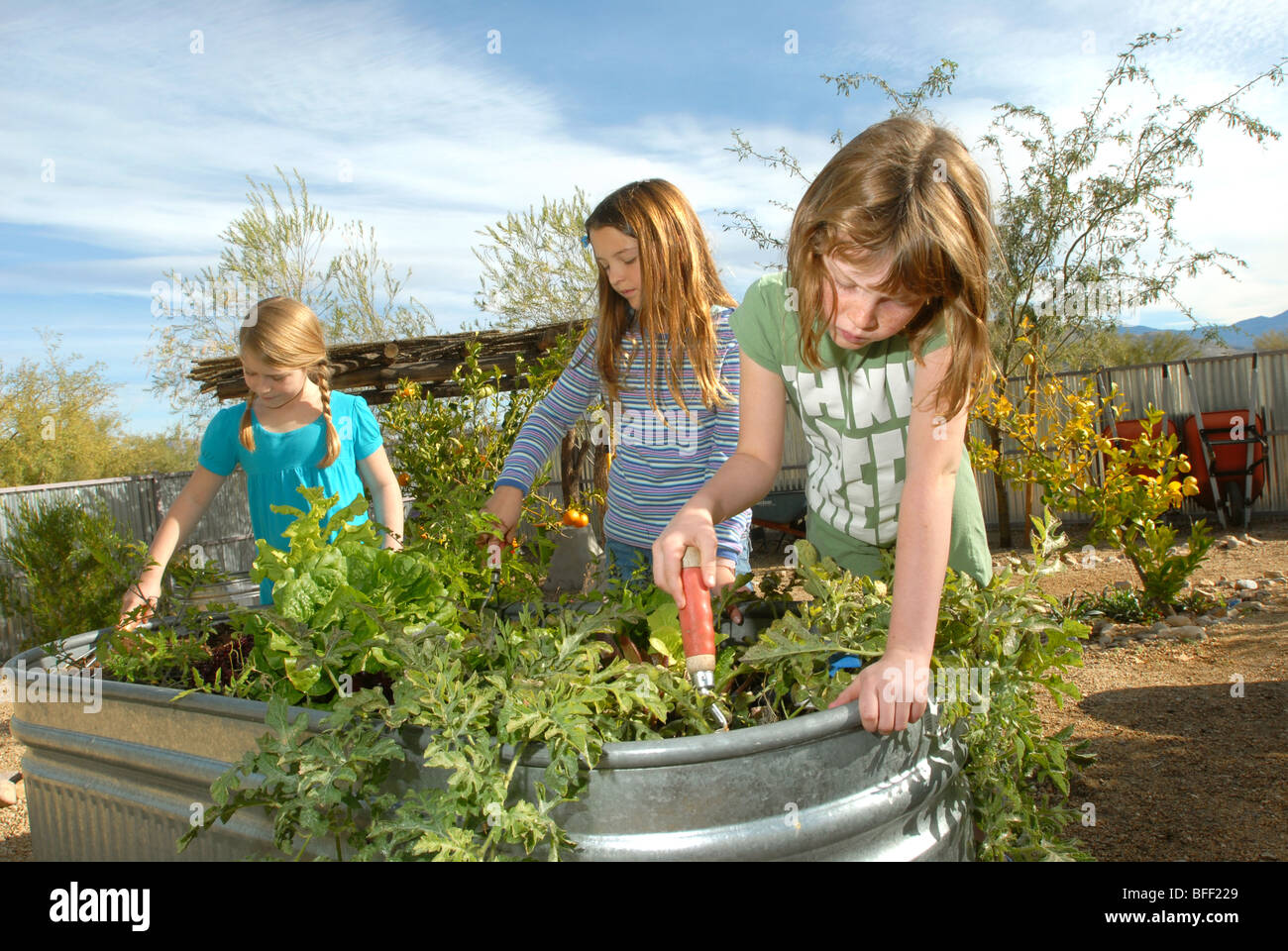 Civano comunità Scuola di Tucson, Arizona, USA, ha vinto il primo premio in un concorso nazionale come la scuola più verde in America. Foto Stock