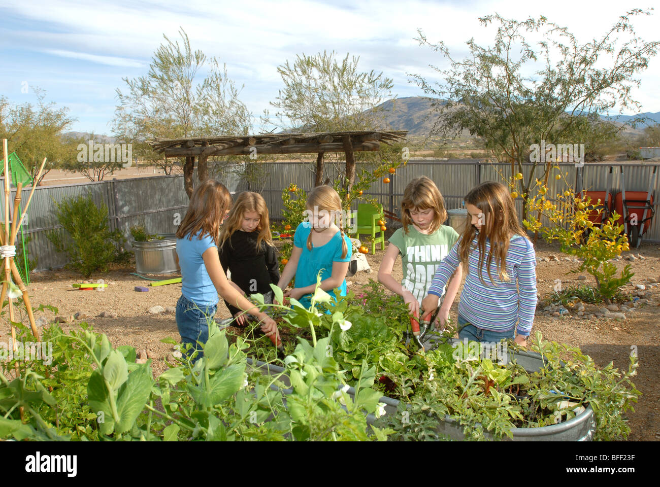 Civano comunità Scuola di Tucson, Arizona, USA, ha vinto il primo premio in un concorso nazionale come la scuola più verde in America. Foto Stock