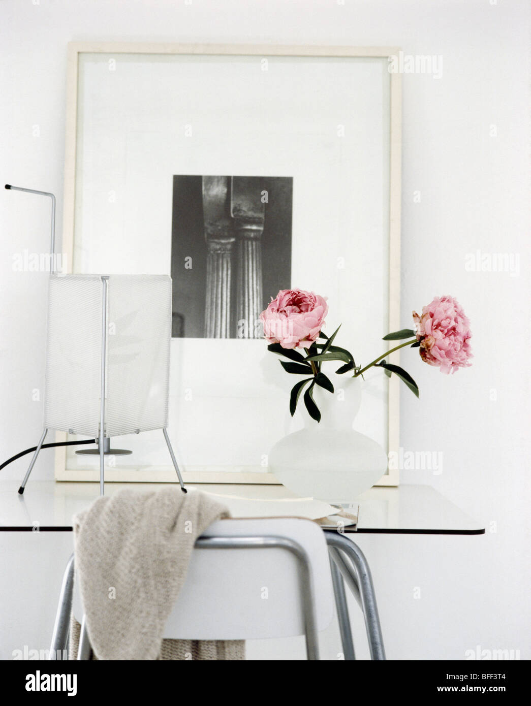 Close-up di rosa le peonie nel vaso di vetro nella parte anteriore del nero incorniciate+stampa bianca sul moderno tavolo in vetro Foto Stock