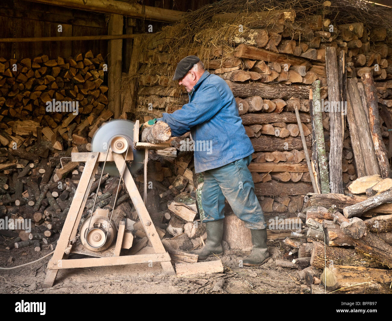 Il francese contadino segare tronchi per il carburante invernale - sud-Touraine, Francia. Foto Stock